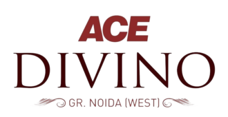 Ace Divino logo Ace Divino logo